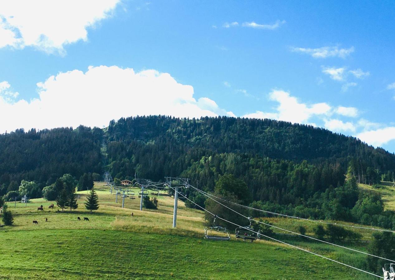 Appartement Le Nantoran à Praz-sur-Arly Extérieur photo